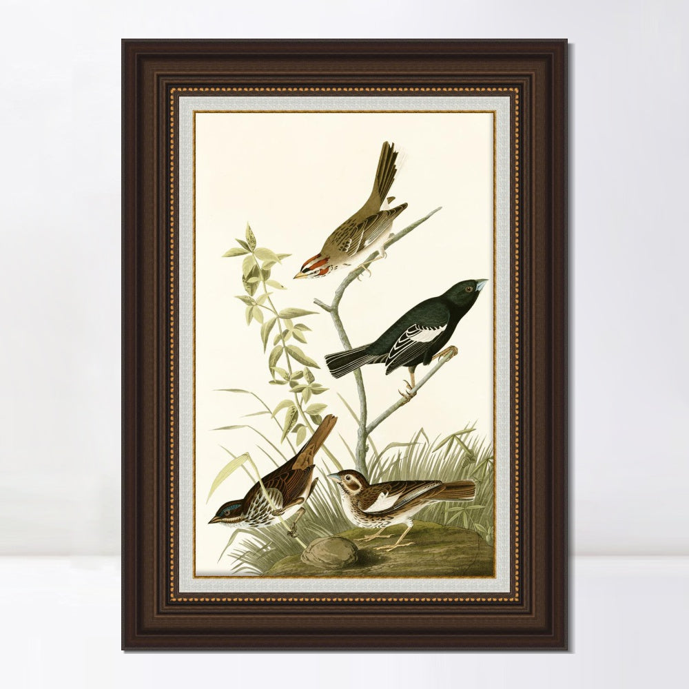 INVIN ART Framed Canvas Art Giclee Print Series#139 by John James Audubon  Home Office Wall Art Decorations