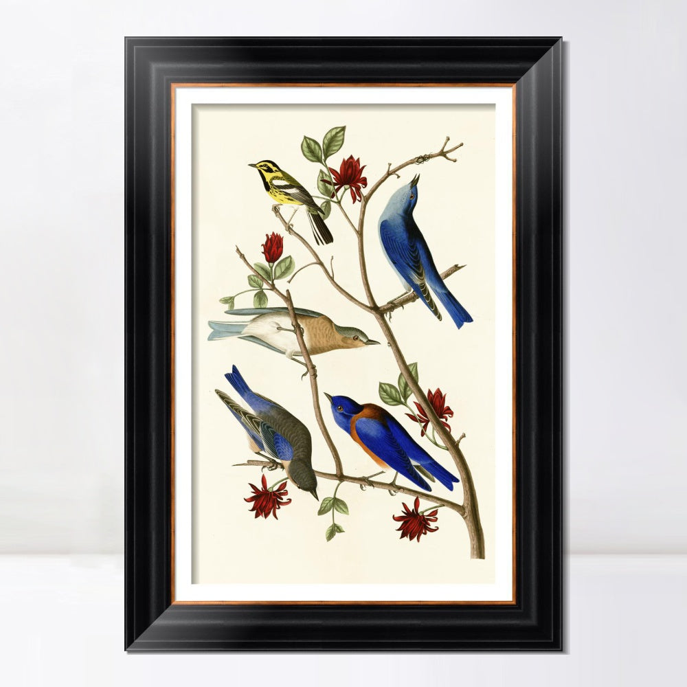 INVIN ART Framed Canvas Art Giclee Print Series#140 by John James Audubon  Home Office Wall Art Decorations