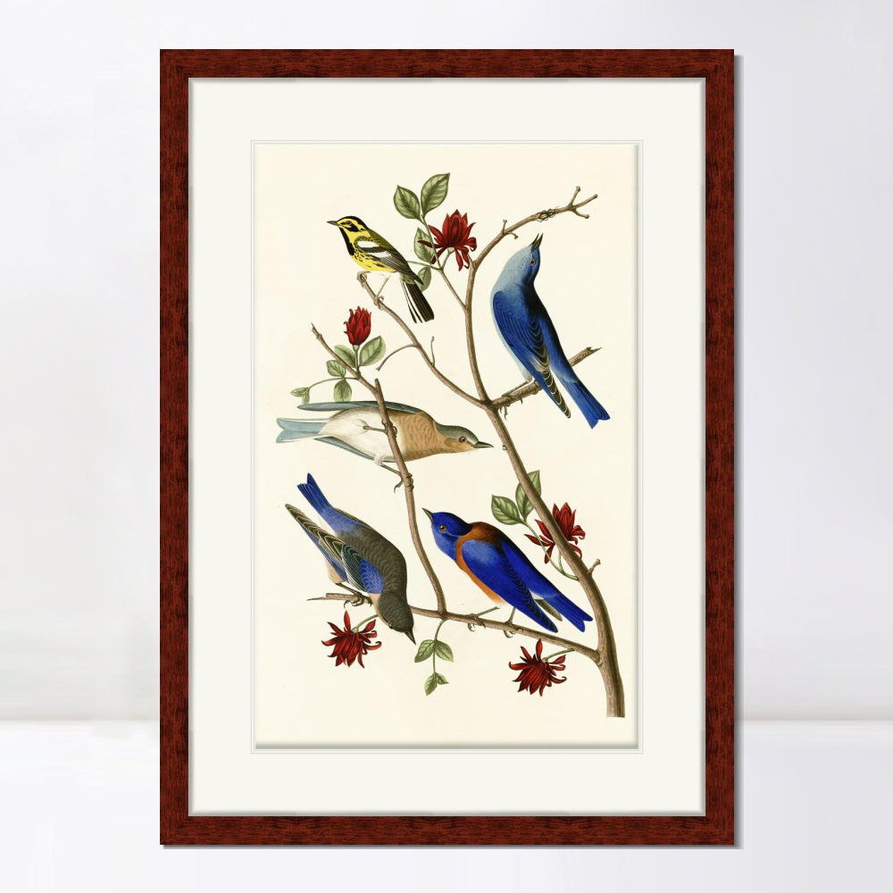 INVIN ART Framed Canvas Art Giclee Print Series#140 by John James Audubon  Home Office Wall Art Decorations