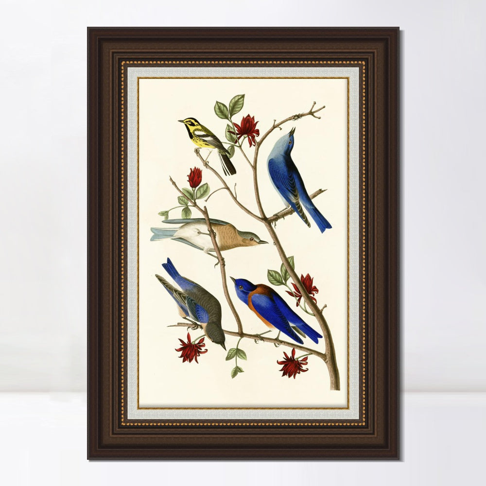 INVIN ART Framed Canvas Art Giclee Print Series#140 by John James Audubon  Home Office Wall Art Decorations