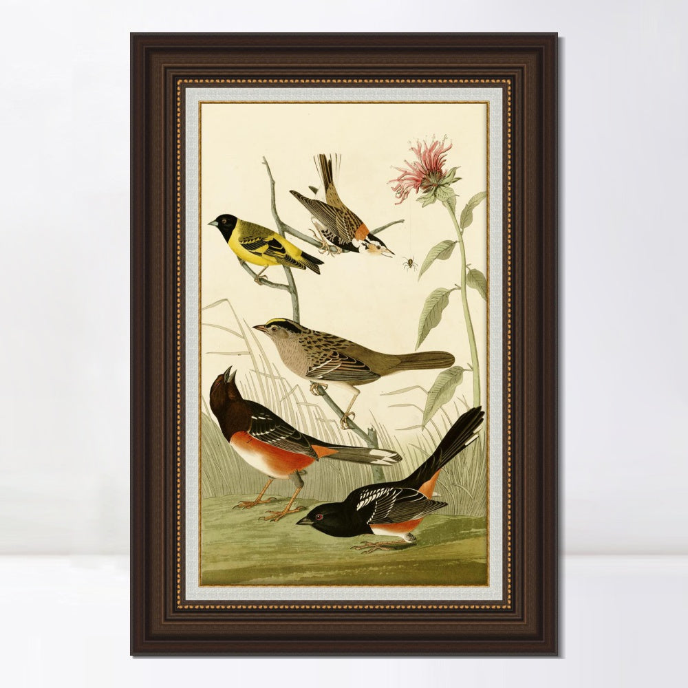 INVIN ART Framed Canvas Art Giclee Print Series#141 by John James Audubon  Home Office Wall Art Decorations