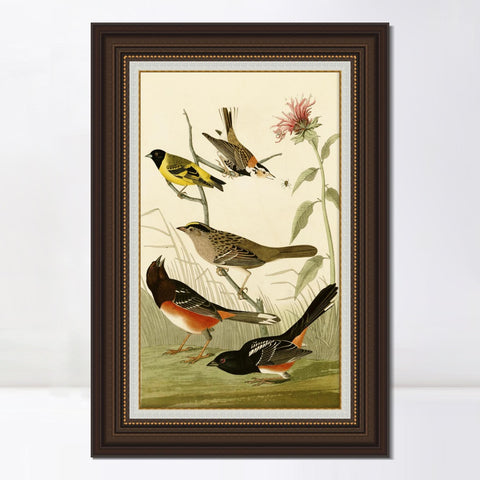 INVIN ART Framed Canvas Art Giclee Print Series#141 by John James Audubon Living Room Home Office Wall Art Decorations