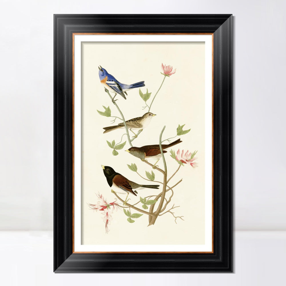 INVIN ART Framed Canvas Art Giclee Print Series#143 by John James Audubon  Home Office Wall Art Decorations