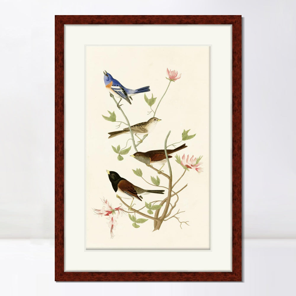 INVIN ART Framed Canvas Art Giclee Print Series#143 by John James Audubon  Home Office Wall Art Decorations