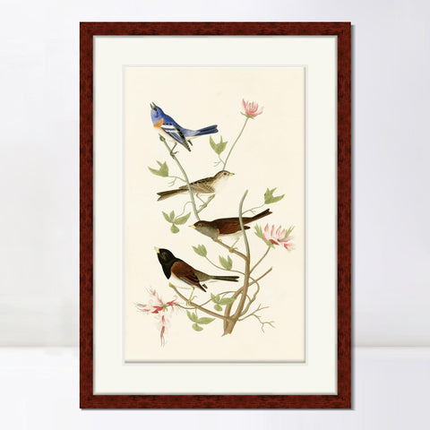 INVIN ART Framed Canvas Art Giclee Print Series#143 by John James Audubon Living Room Home Office Wall Art Decorations