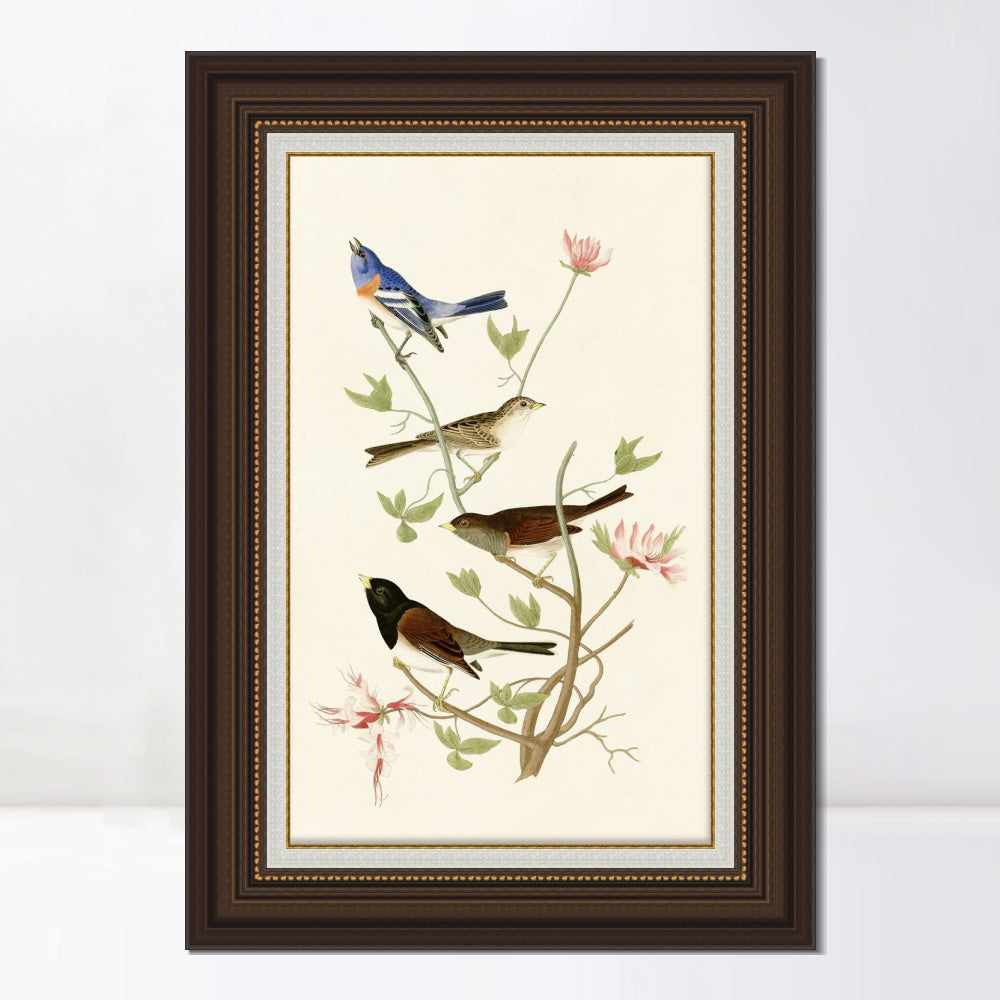 INVIN ART Framed Canvas Art Giclee Print Series#143 by John James Audubon  Home Office Wall Art Decorations