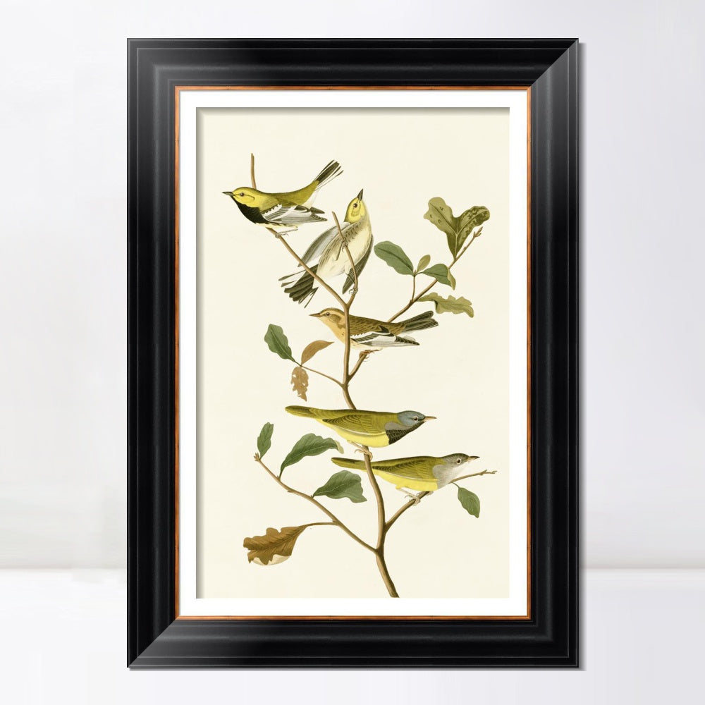 INVIN ART Framed Canvas Art Giclee Print Series#144 by John James Audubon  Home Office Wall Art Decorations