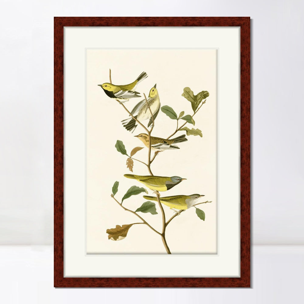 INVIN ART Framed Canvas Art Giclee Print Series#144 by John James Audubon  Home Office Wall Art Decorations