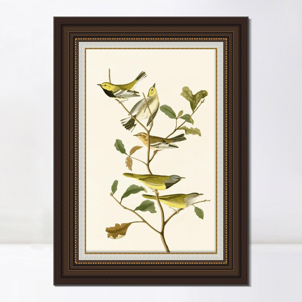 INVIN ART Framed Canvas Art Giclee Print Series#144 by John James Audubon  Home Office Wall Art Decorations