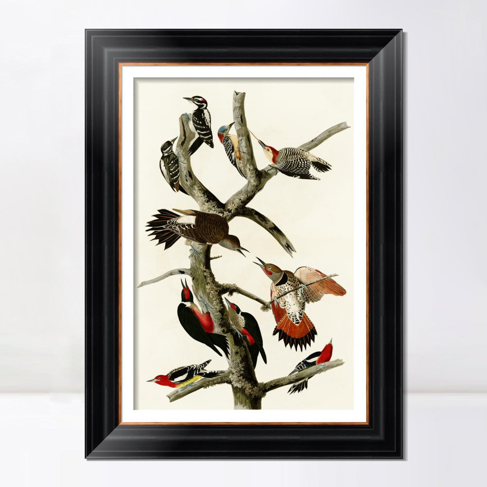 INVIN ART Framed Canvas Art Giclee Print Series#145 by John James Audubon  Home Office Wall Art Decorations
