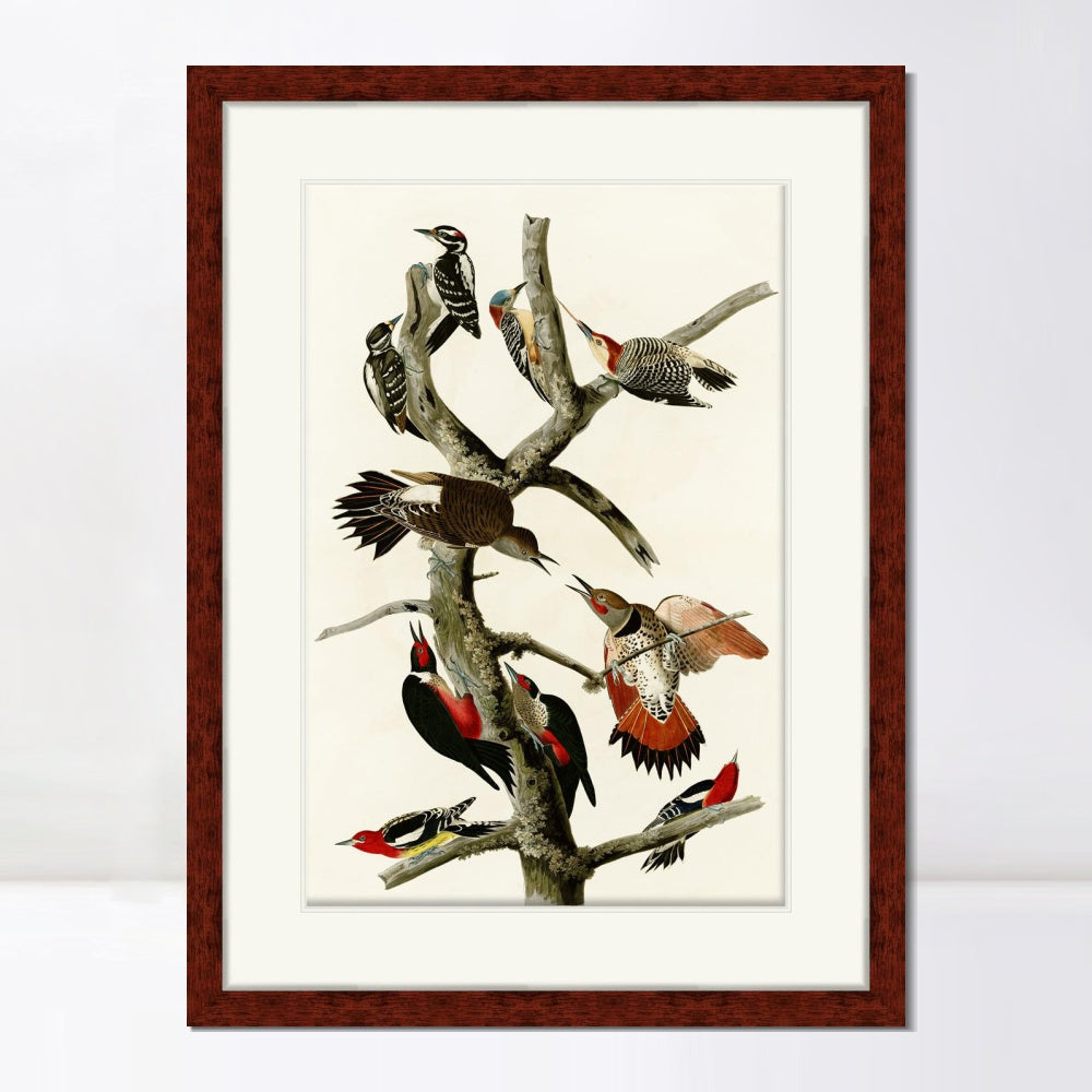 INVIN ART Framed Canvas Art Giclee Print Series#145 by John James Audubon  Home Office Wall Art Decorations