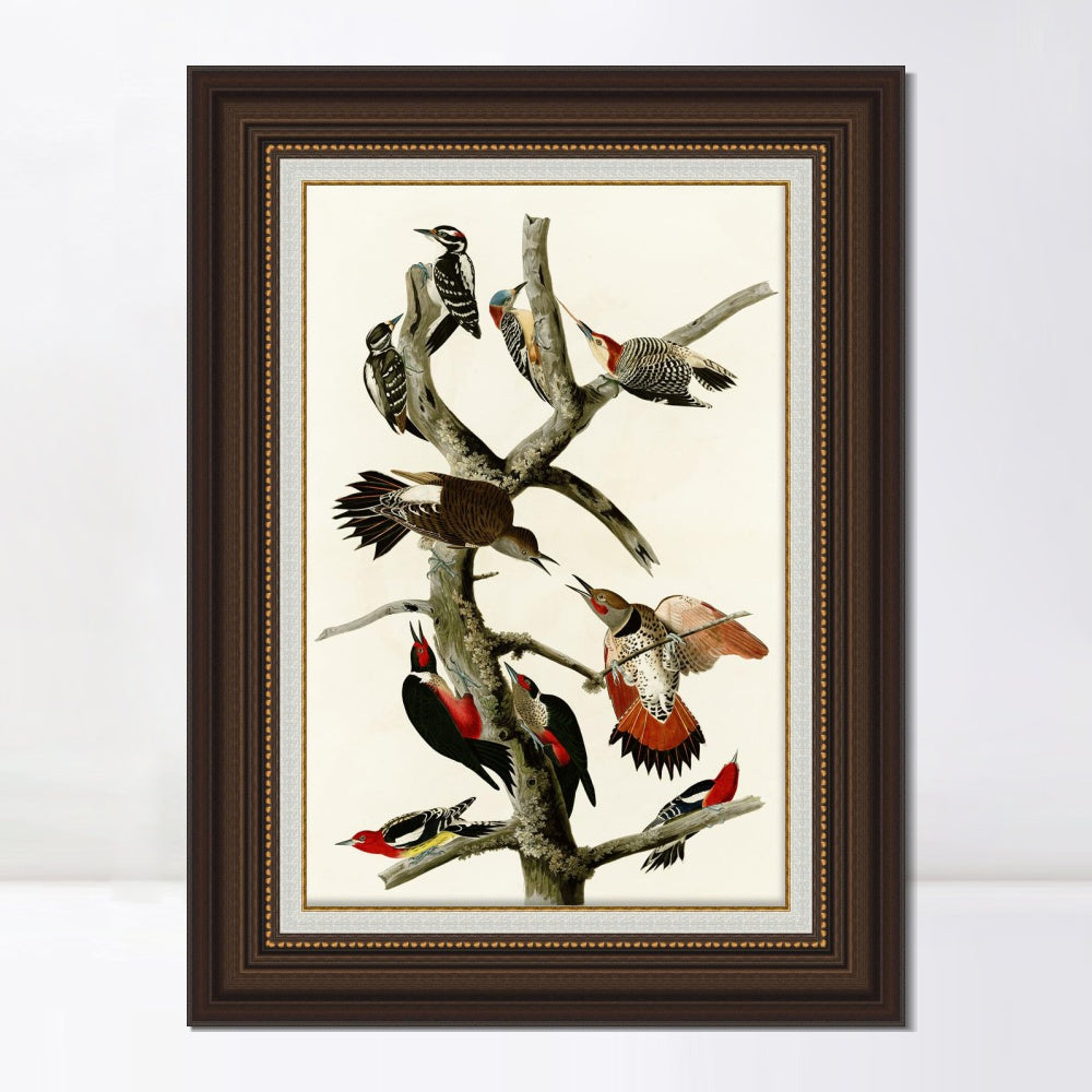 INVIN ART Framed Canvas Art Giclee Print Series#145 by John James Audubon  Home Office Wall Art Decorations