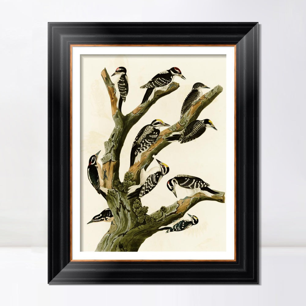 INVIN ART Framed Canvas Art Giclee Print Series#146 by John James Audubon  Home Office Wall Art Decorations