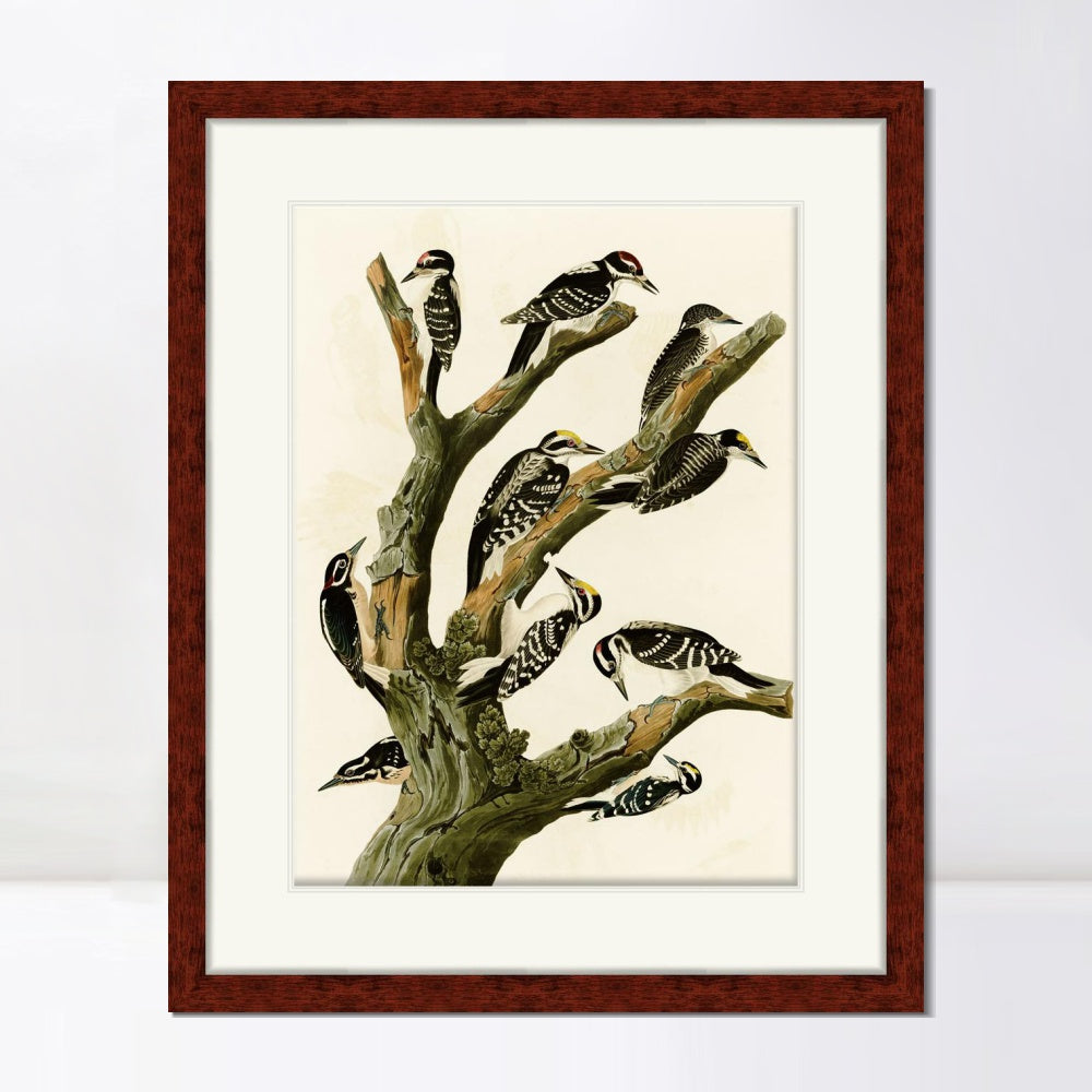 INVIN ART Framed Canvas Art Giclee Print Series#146 by John James Audubon  Home Office Wall Art Decorations