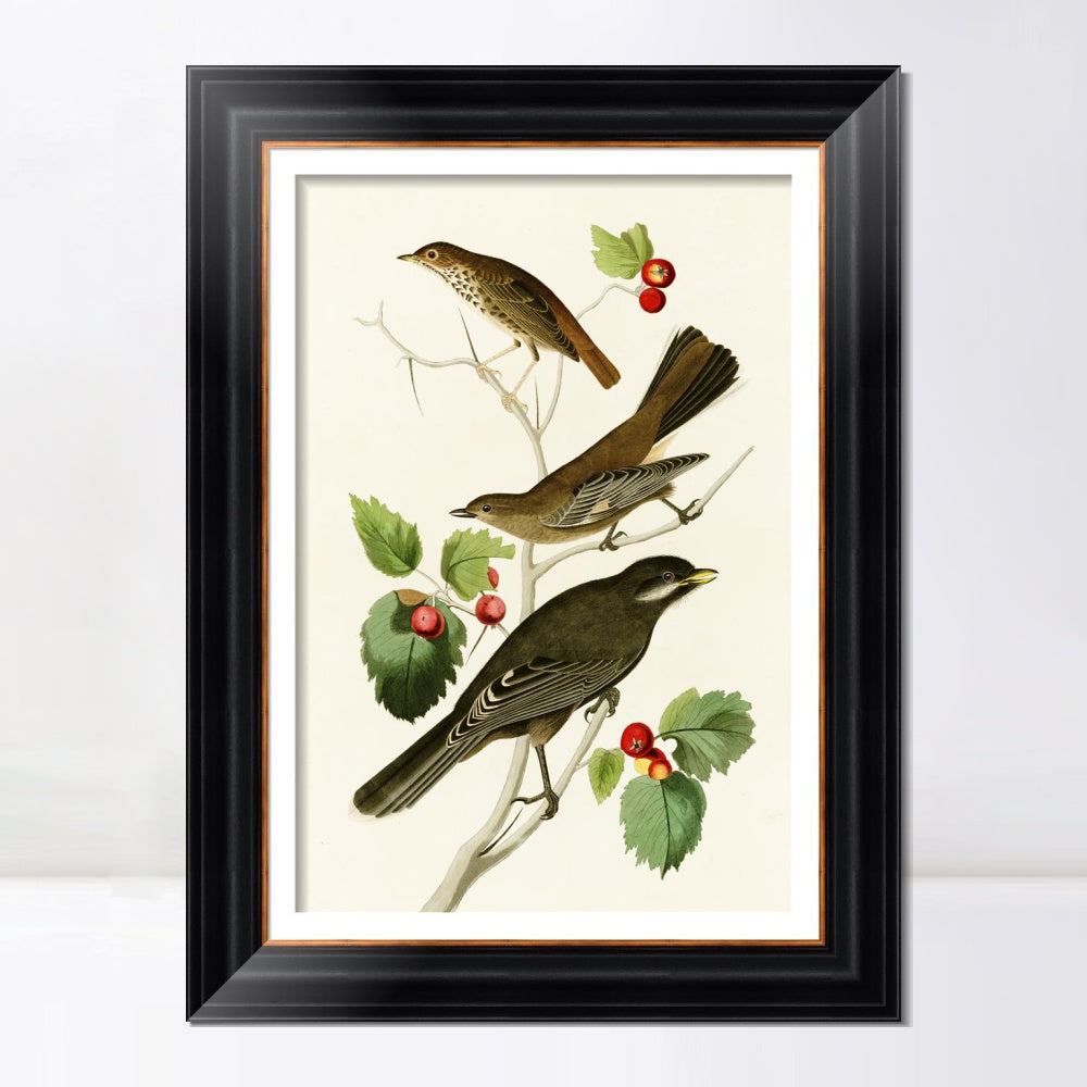 INVIN ART Framed Canvas Art Giclee Print Series#147 by John James Audubon  Home Office Wall Art Decorations