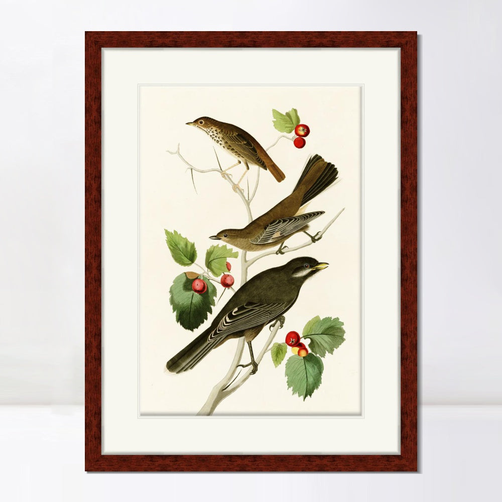 INVIN ART Framed Canvas Art Giclee Print Series#147 by John James Audubon  Home Office Wall Art Decorations