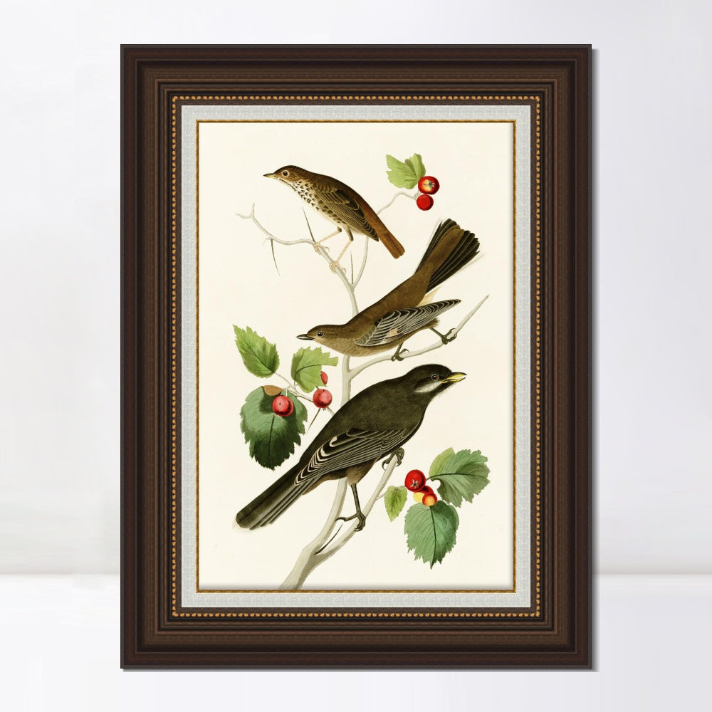 INVIN ART Framed Canvas Art Giclee Print Series#147 by John James Audubon  Home Office Wall Art Decorations
