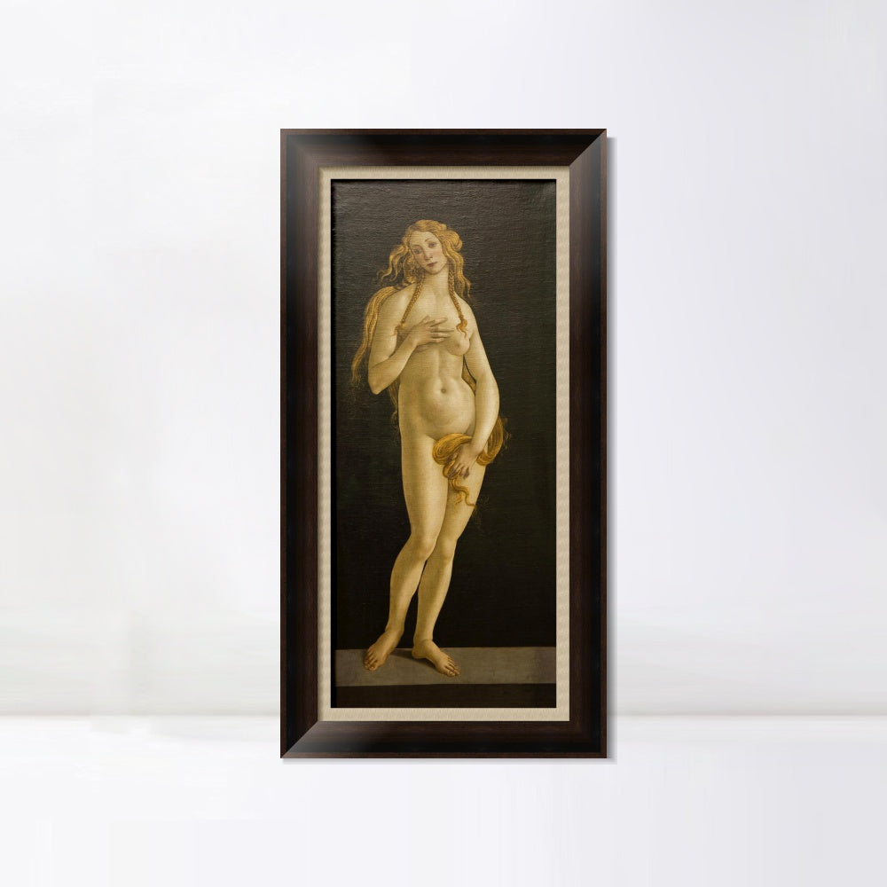 INVIN ART Framed Canvas Art Giclee Print The Birth of Venus by Sandro Botticelli Wall Art