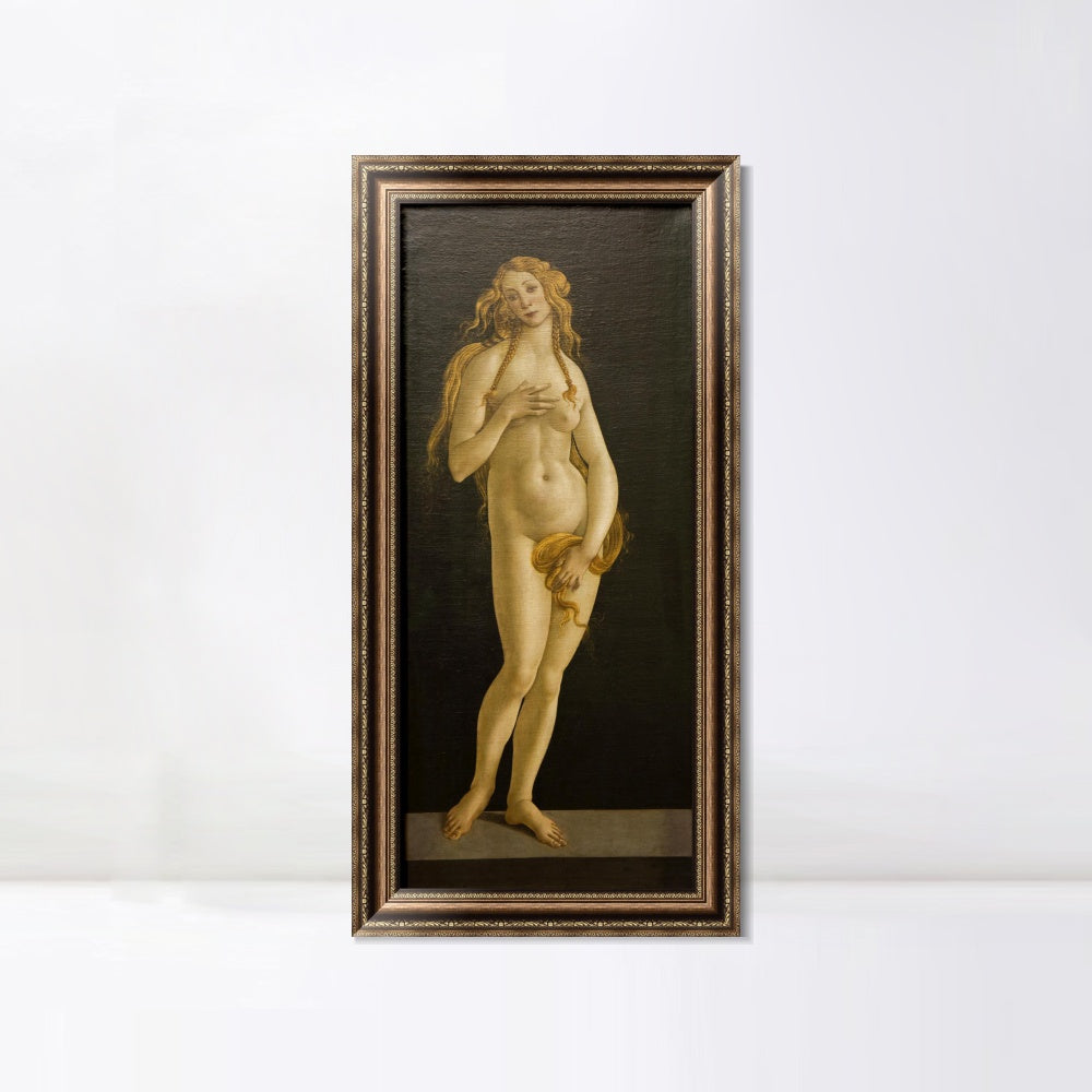 INVIN ART Framed Canvas Art Giclee Print The Birth of Venus by Sandro Botticelli Wall Art