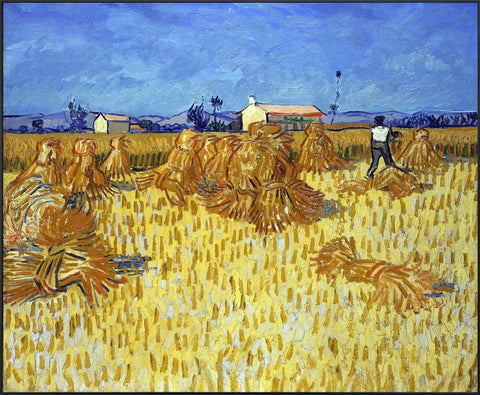 Framed Canvas Corn Harvest In Provence by Vincent Van Gogh Wall Art