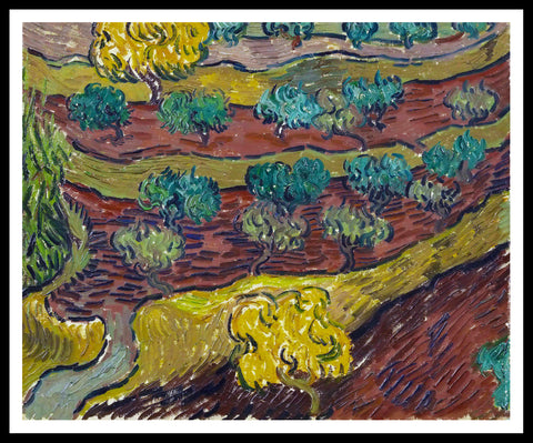 Framed Canvas Olive Trees On A Hillside by Vincent Van Gogh Wall Art