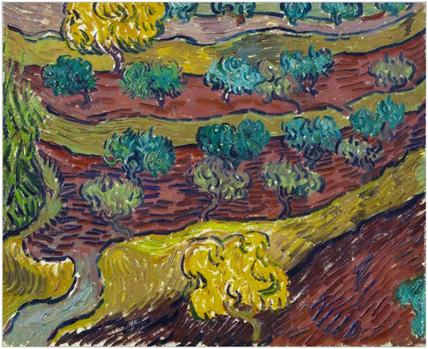 Framed Canvas Olive Trees On A Hillside by Vincent Van Gogh Wall Art