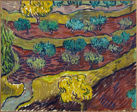 Framed Canvas Olive Trees On A Hillside by Vincent Van Gogh Wall Art