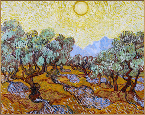 Framed Canvas Olive Trees With Yellow Sky And Sun by Vincent Van Gogh Wall Art