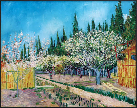 Framed Canvas Orchard in Blossom; Bordered by Cypresses by Vincent Van Gogh Wall Art