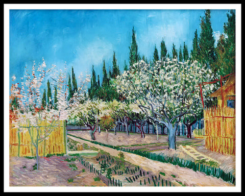 Framed Canvas Orchard in Blossom; Bordered by Cypresses by Vincent Van Gogh Wall Art