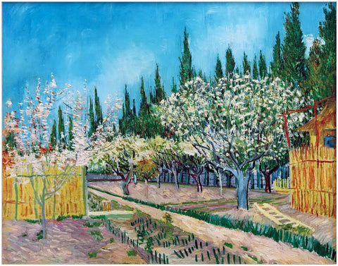Framed Canvas Orchard in Blossom; Bordered by Cypresses by Vincent Van Gogh Wall Art