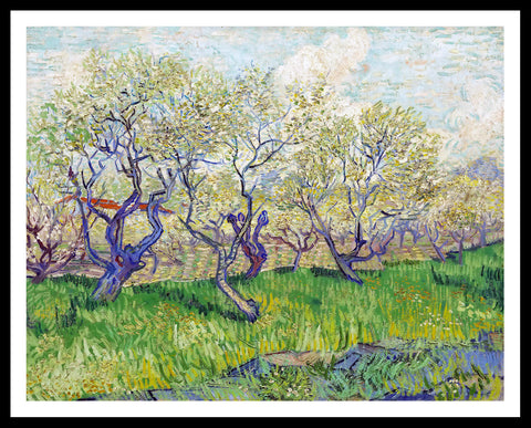 Framed Canvas Orchard in Blossom by Vincent Van Gogh Wall Art