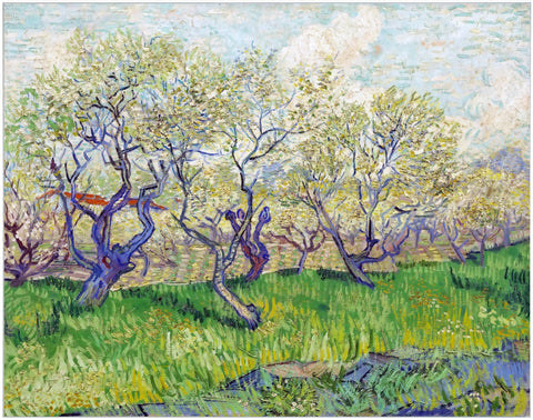 Framed Canvas Orchard in Blossom by Vincent Van Gogh Wall Art