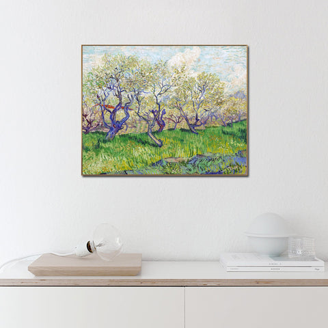 Framed Canvas Orchard in Blossom by Vincent Van Gogh Wall Art