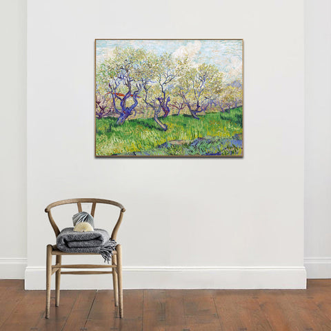 Framed Canvas Orchard in Blossom by Vincent Van Gogh Wall Art