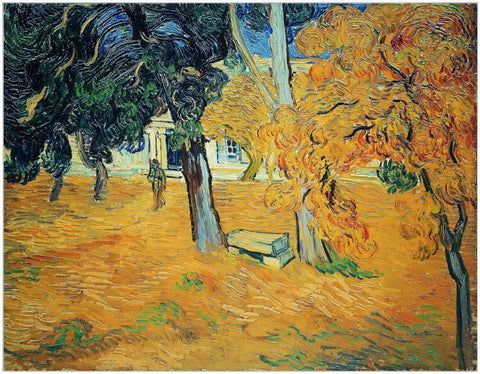 Framed Canvas The Garden Of Saint-Paul Hospital by Vincent Van Gogh Wall Art