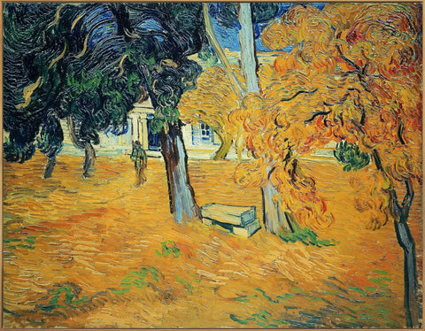 Framed Canvas The Garden Of Saint-Paul Hospital by Vincent Van Gogh Wall Art