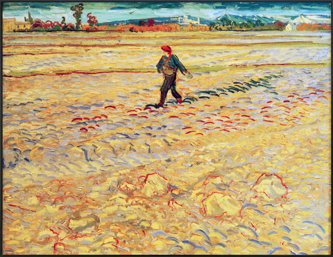 Framed Canvas The Sower by Vincent Van Gogh Wall Art