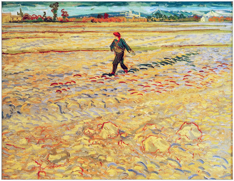 Framed Canvas The Sower by Vincent Van Gogh Wall Art