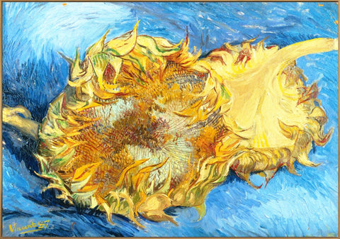 Framed Canvas Still Life with Two Sunflowers;1887 by Vincent Van Gogh Wall Art