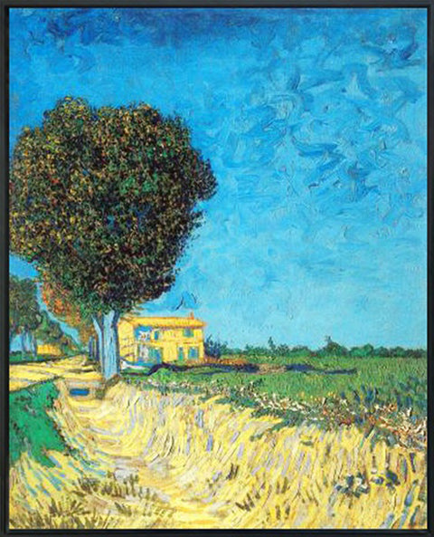 Framed Canvas Lane near Arles 1888 by Vincent Van Gogh Wall Art