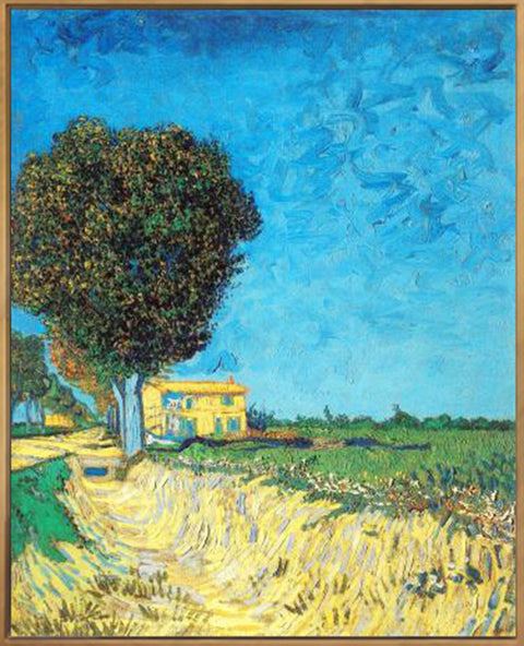 Framed Canvas Lane near Arles 1888 by Vincent Van Gogh Wall Art